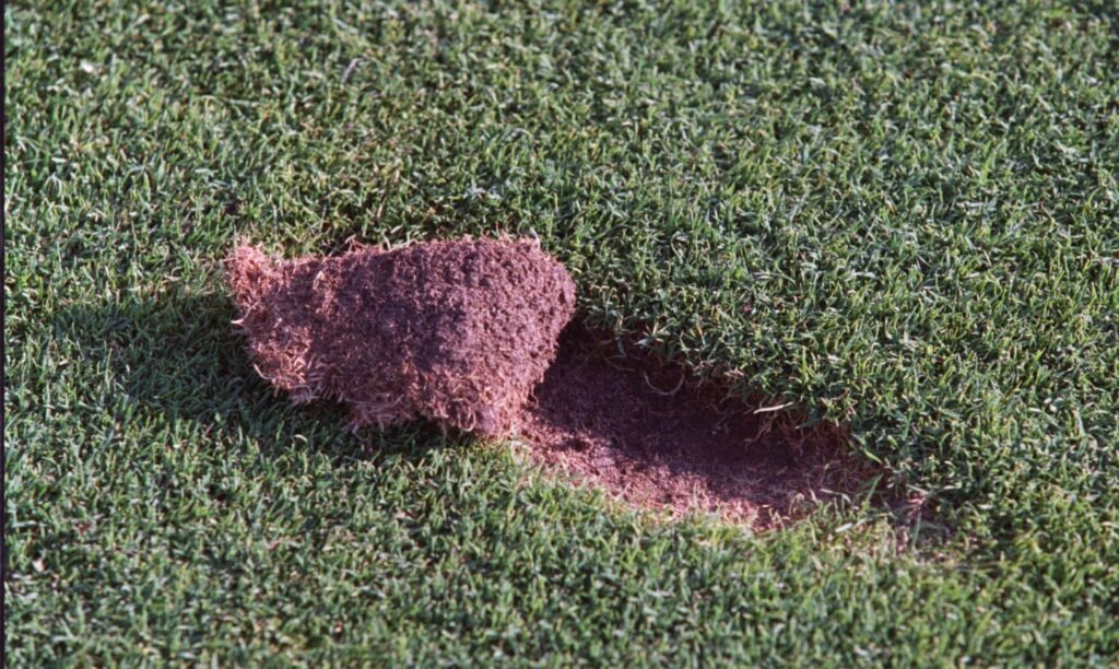 divot